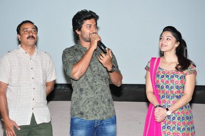 Krishna Gadi Veera Prema Gaadha success tour Nizam